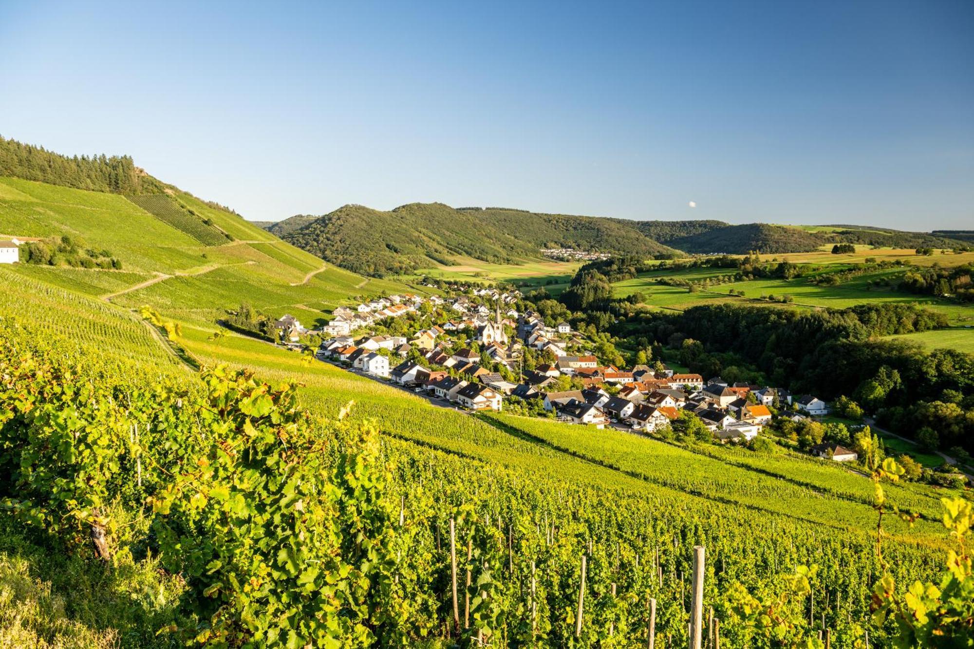 Weinhotel Restaurant Klostermuehle Ockfen Luaran gambar