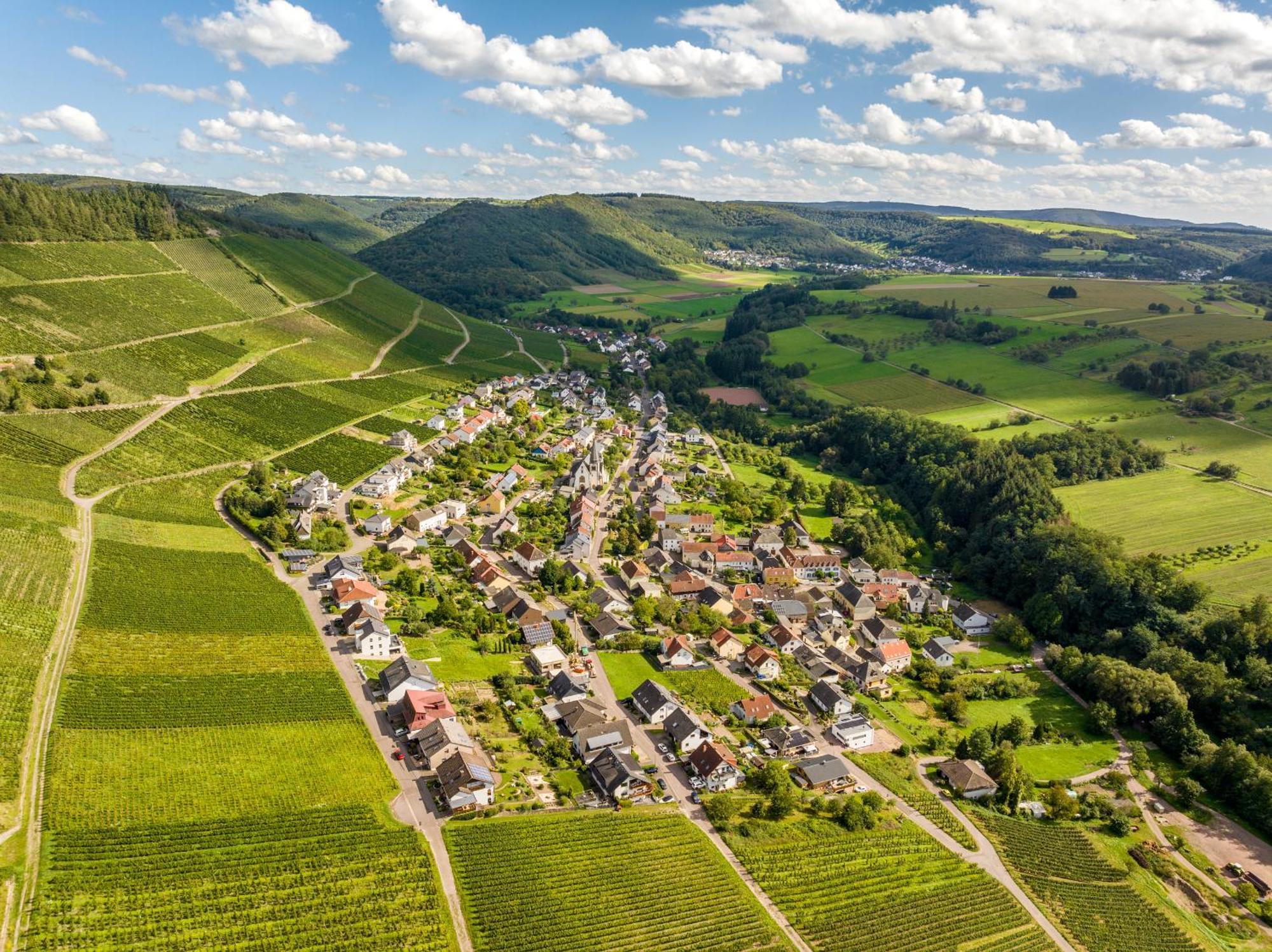 Weinhotel Restaurant Klostermuehle Ockfen Luaran gambar